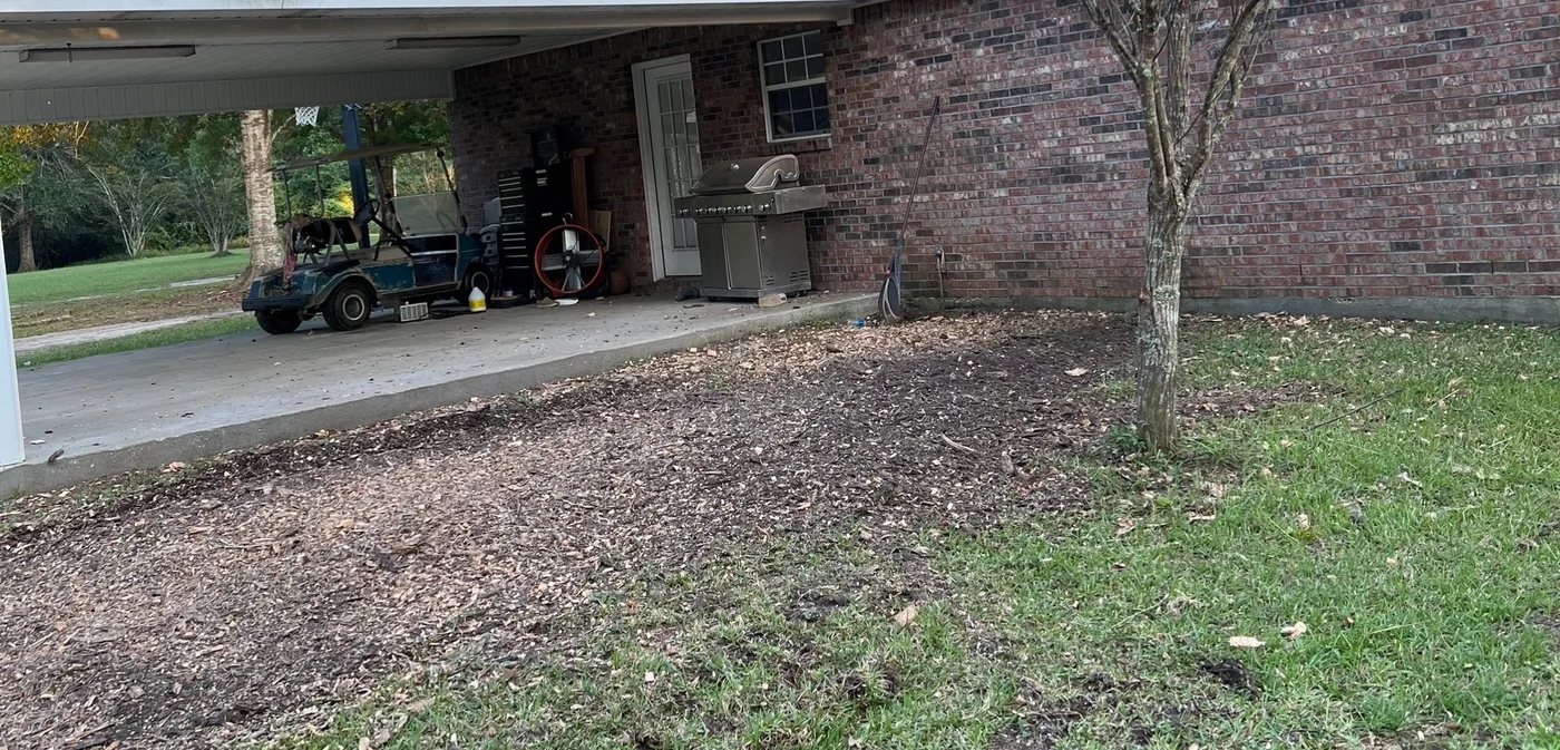 Stump Grinding in Northwest Florida