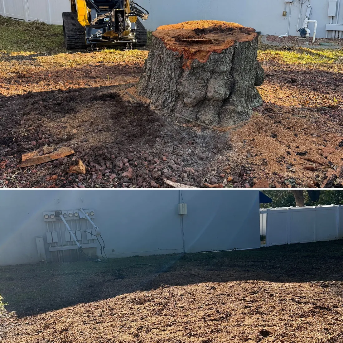 Before and after: a large stump against a building wall ground below grade, grindings spread