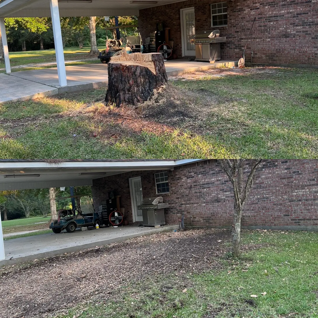 Before and after — large backyard stump ground out beside a brick home