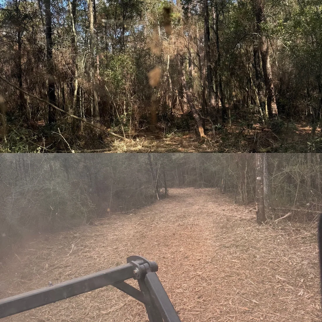 Before and after: a thicket wall opened into a mulched trail, seen from the machine